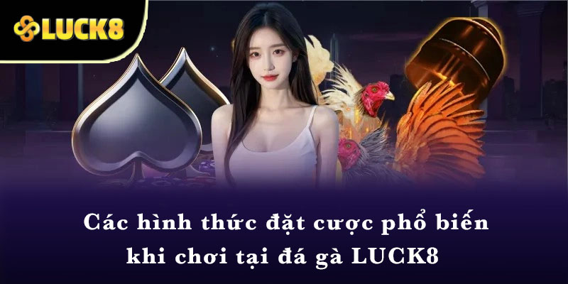 Các hình thức đặt cược phổ biến khi chơi tại đá gà LUCK8