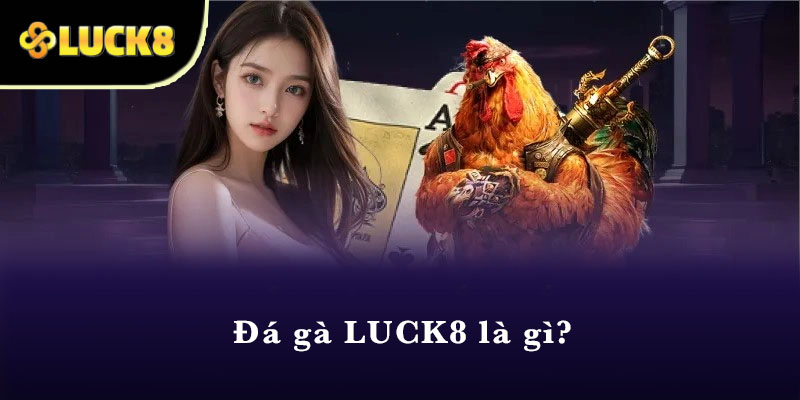 Đá gà LUCK8 là gì?